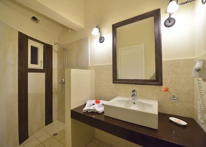 Pelican Mykonos Town